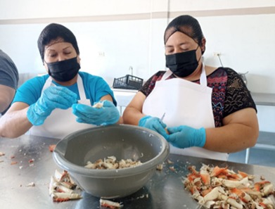 WhatsApp Image 2024 10 09 at 9.58.56 AM 5