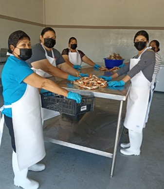 WhatsApp Image 2024 10 09 at 9.58.56 AM 6