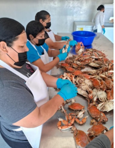 WhatsApp Image 2024 10 09 at 9.58.57 AM