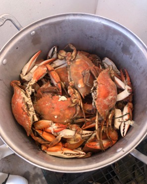 WhatsApp Image 2024 10 09 at 9.58.57 AM 1