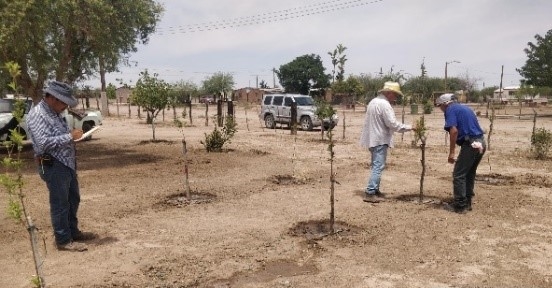 WhatsApp Image 2024 10 09 at 9.58.58 AM 3