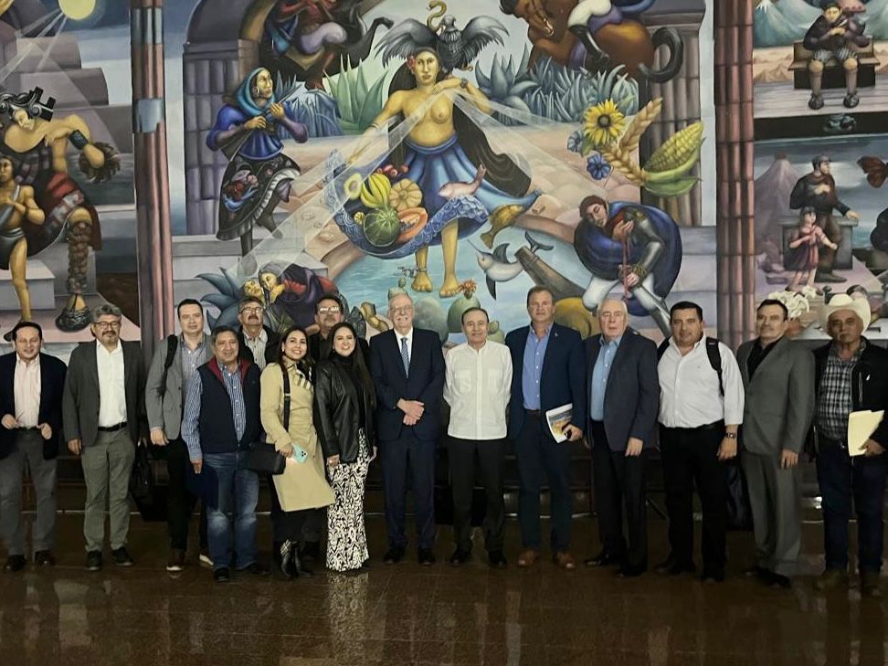 WhatsApp Image 2024 11 13 at 13.45.31 2