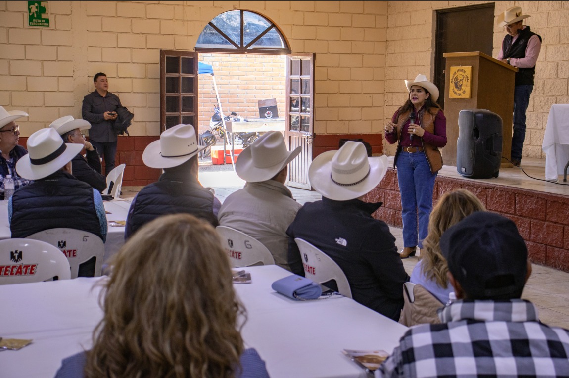 WhatsApp Image 2024 11 16 at 17.40.21 1