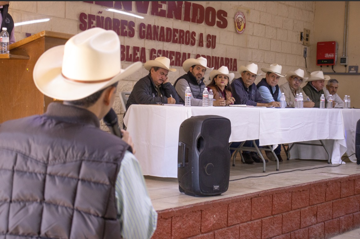 WhatsApp Image 2024 11 16 at 17.40.21 2