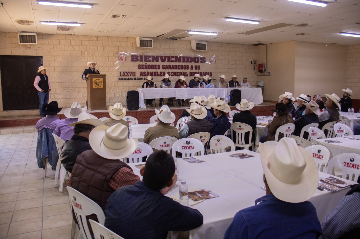 WhatsApp Image 2024 11 16 at 17.40.21 3