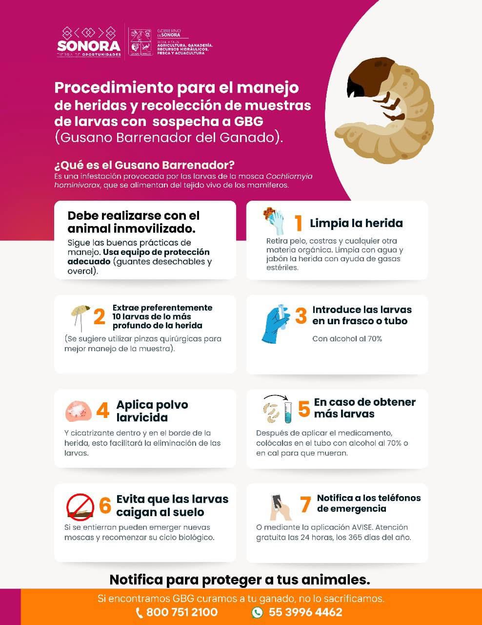 WhatsApp Image 2024 11 28 at 12.20.42 PM 1